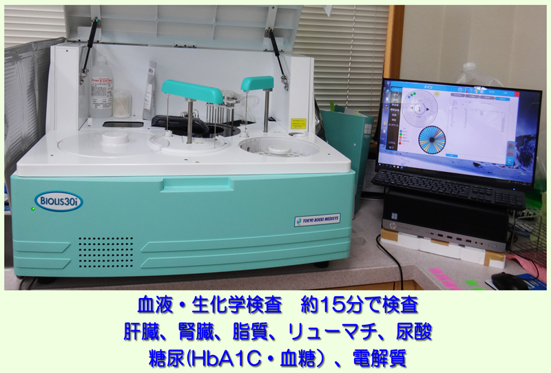 血液生化学検査